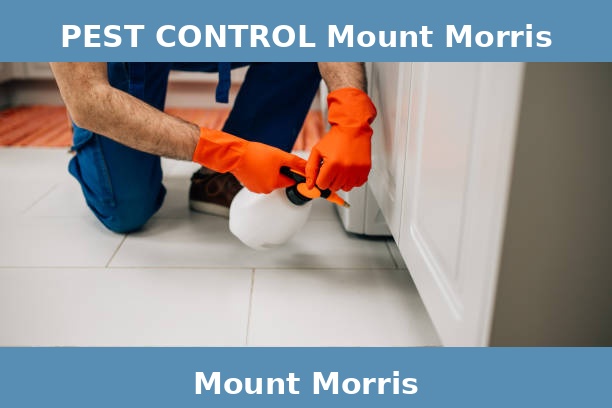 PEST CONTROL Mount Morris